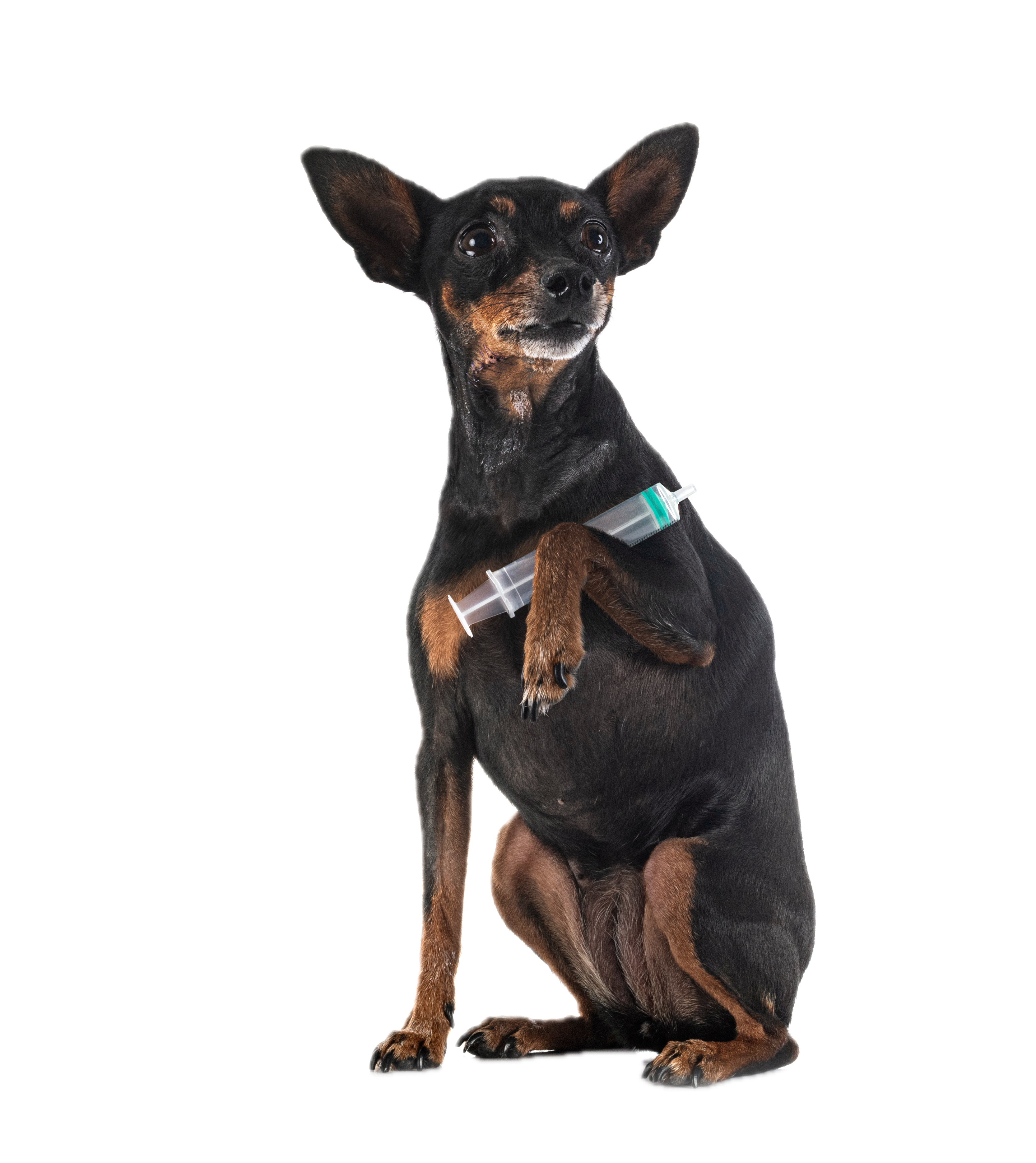 Female scientist with dog